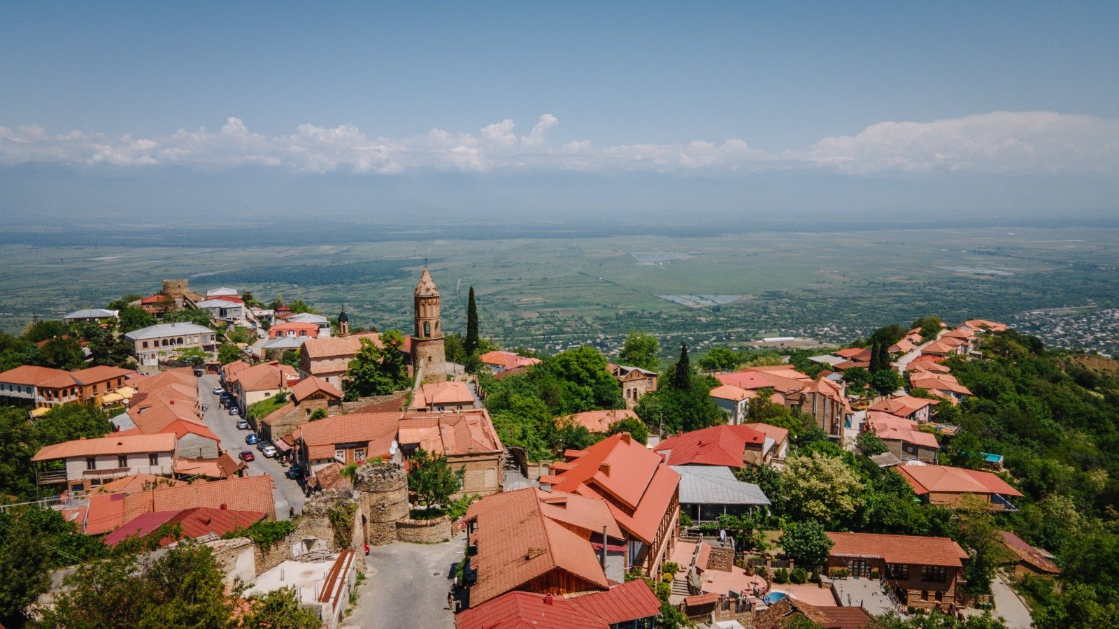 Kakheti Wine & Culture Tour — photo 1